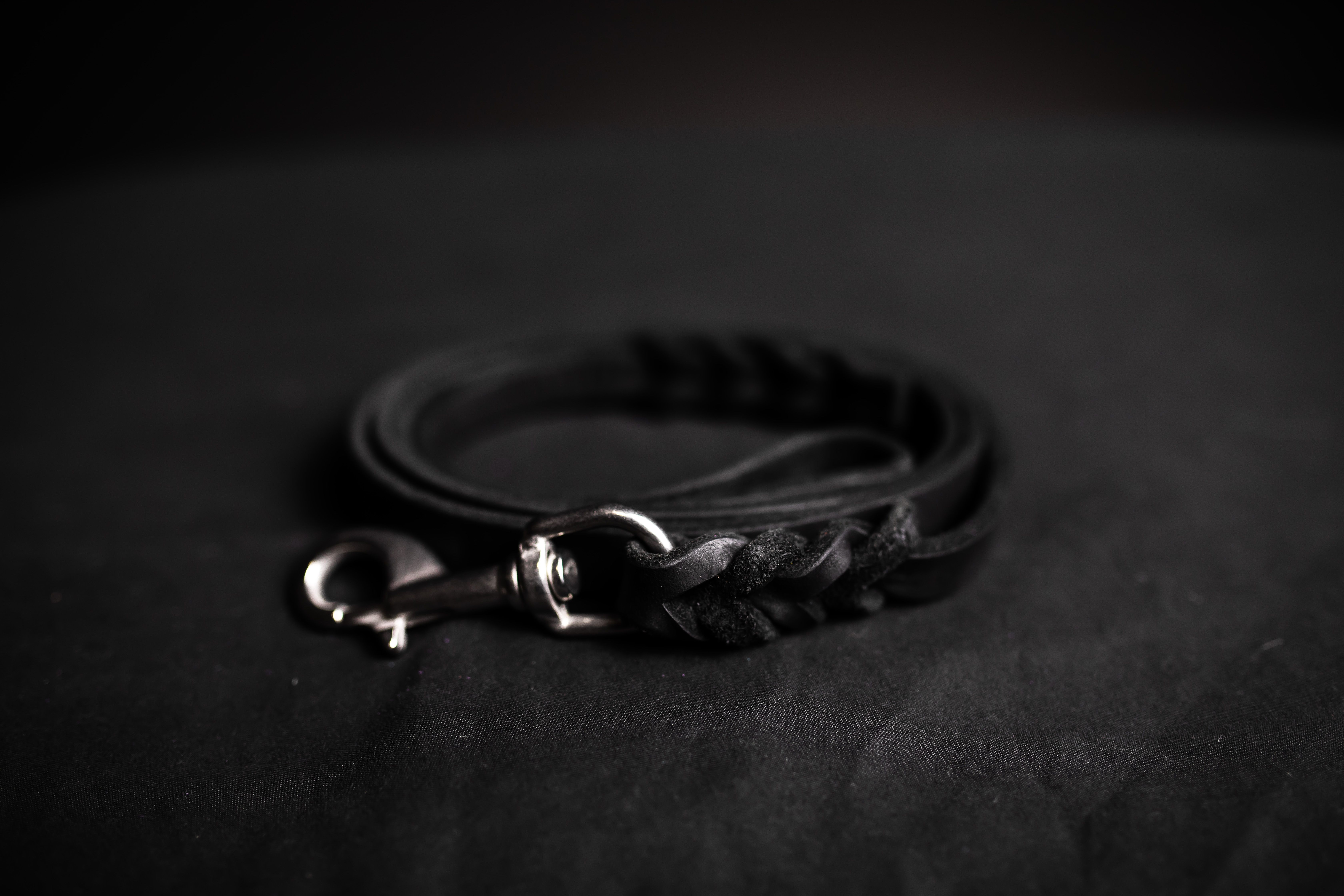 Leash · model name coming soon