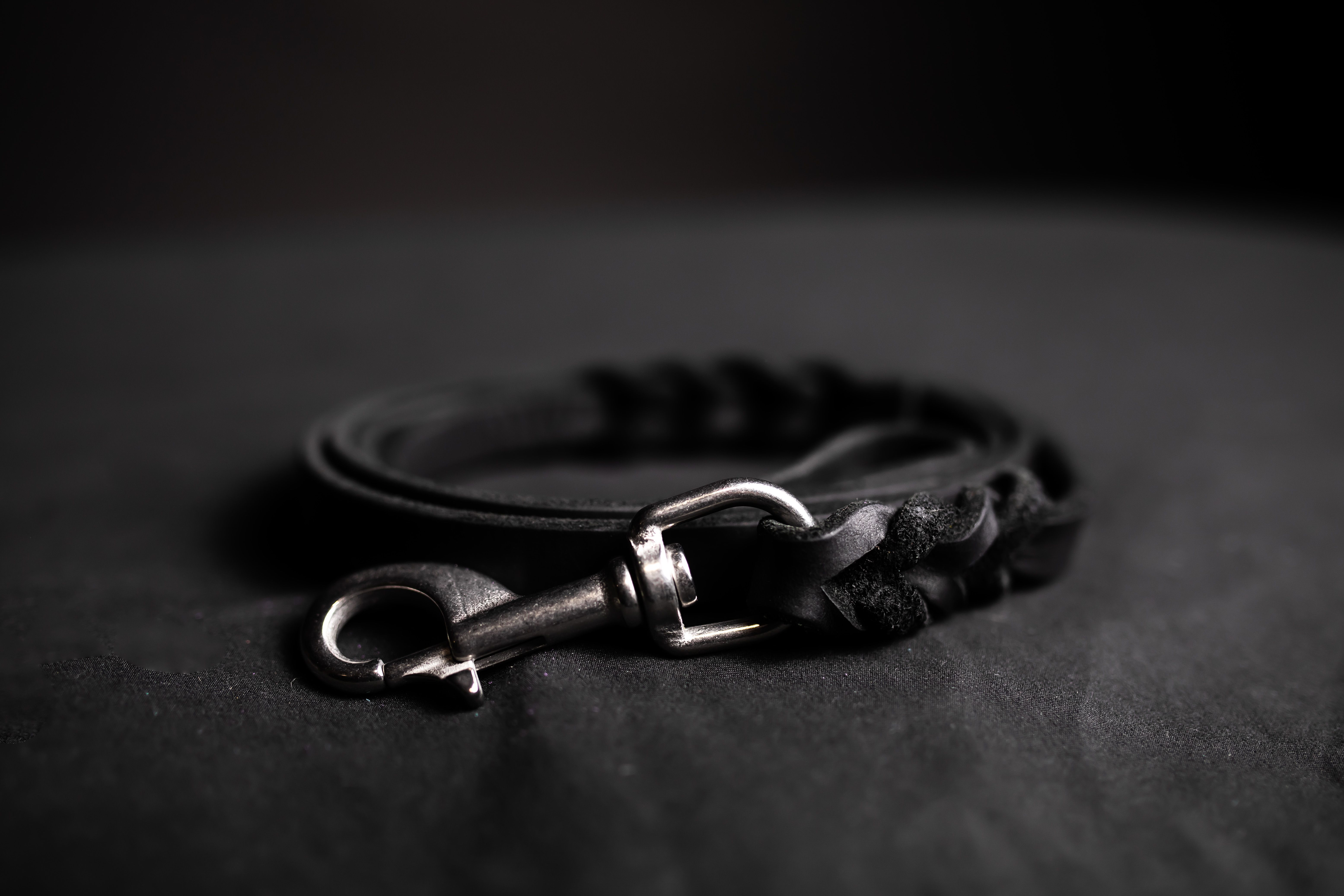 Leash · model name coming soon