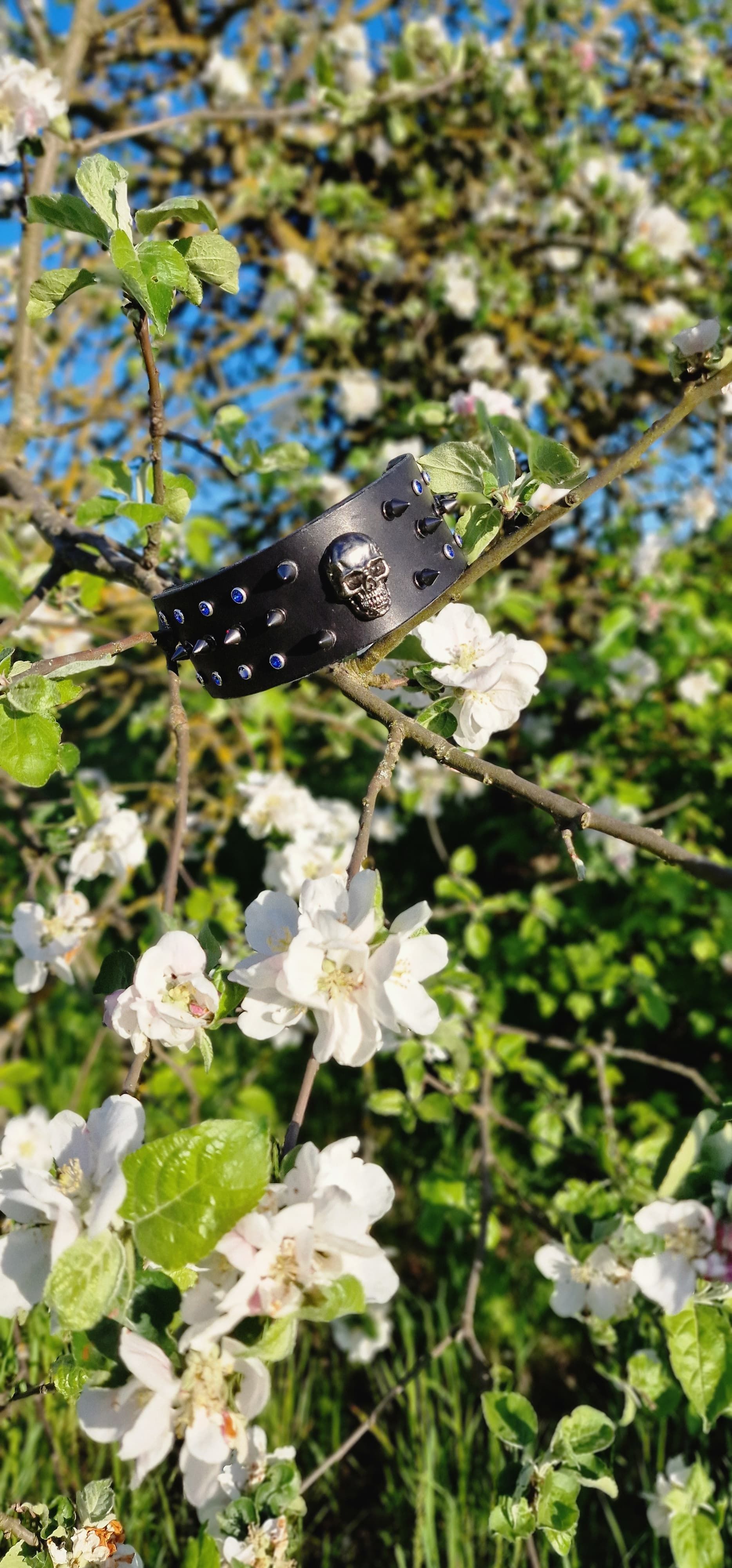 Collar · side view